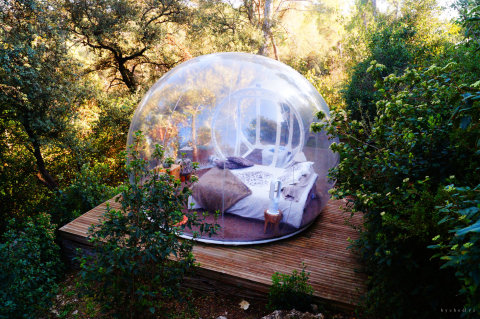 Bulle Nature 2