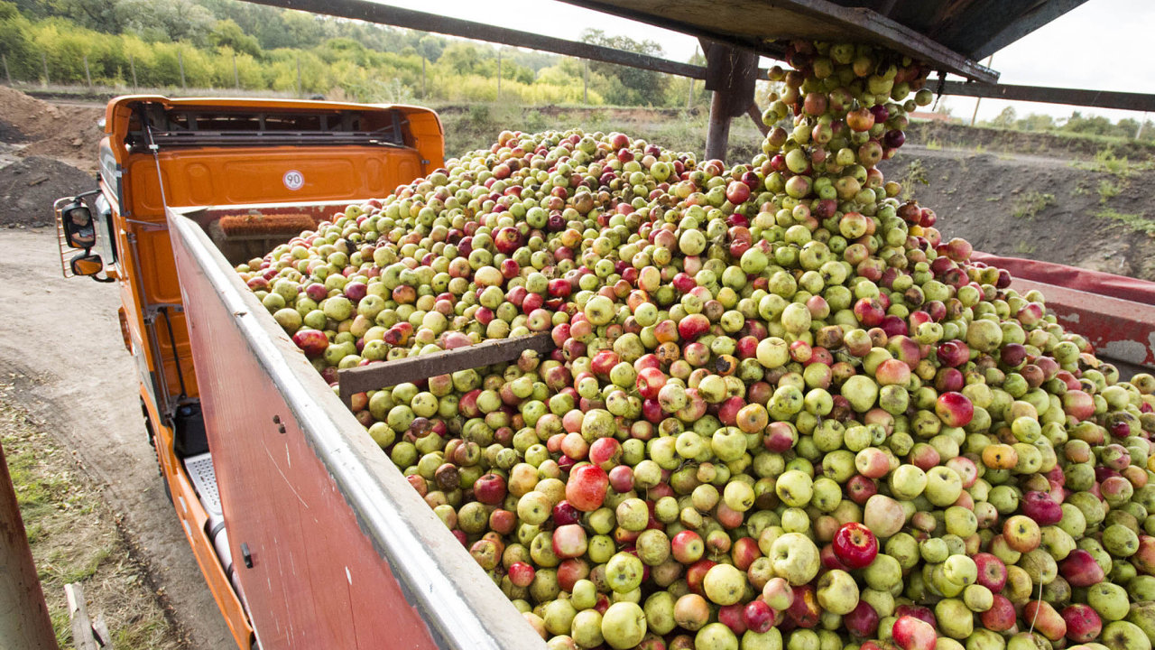 Ceny jablek tla dol pedevm nadbytky na evropskm trhu.