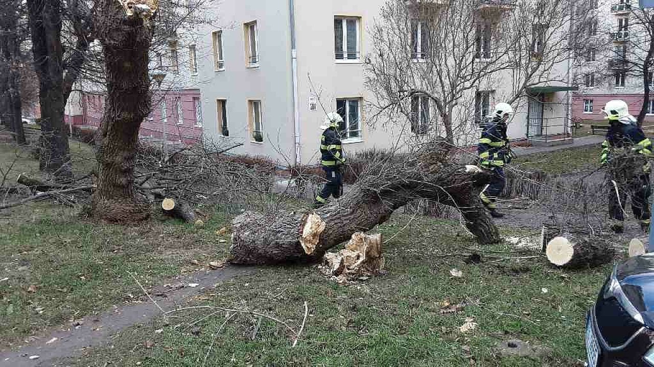 Hasii v Most v ulici Josefa Skupy 19. prosince 2021 odstrauj spadl stromy.