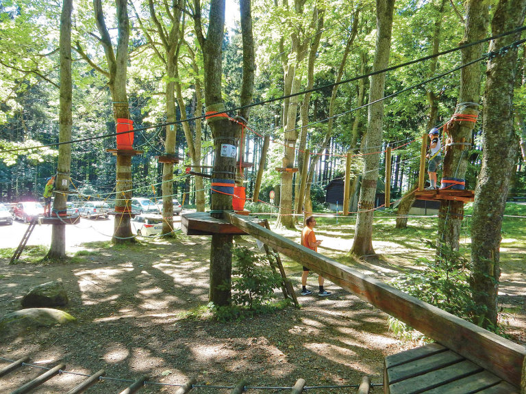 V korunách stromù na Vysoèinì: lanový park Køemešník