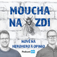 Banner Moucha 26 1920