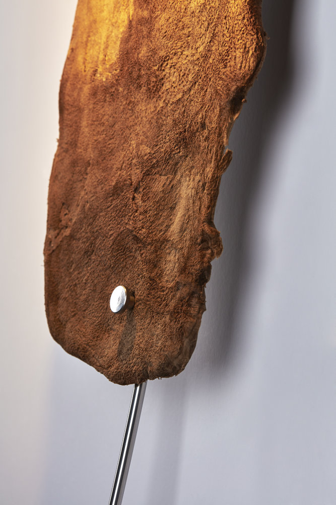 Lampa Mycophyta od Tomáše Rachunka