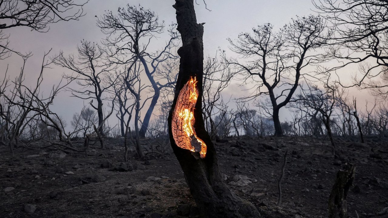 Øecko, požár, les, globální oteplování