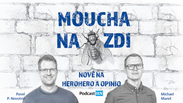 Banner Moucha 26 1920