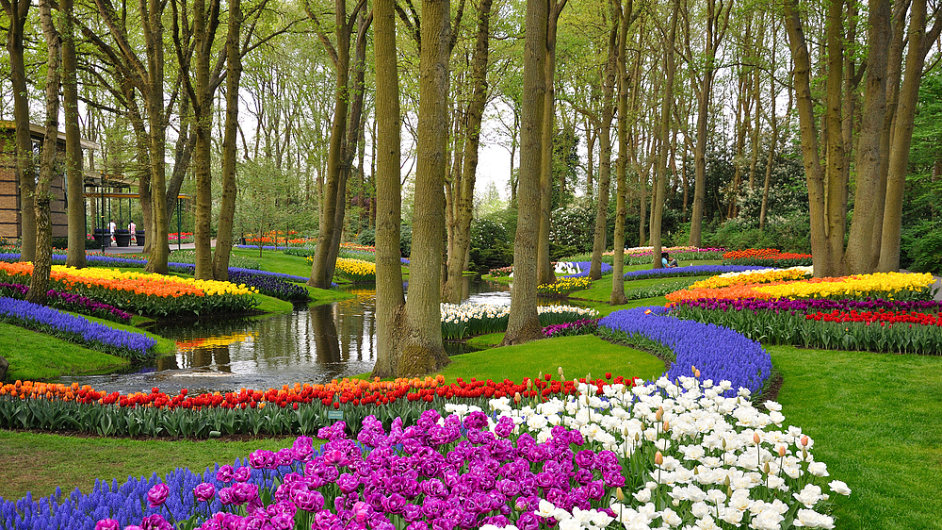 Zahrada Keukenhof, Lisse, Nizozemsko