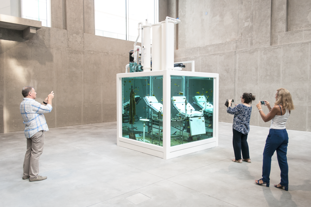 Damien Hirst a jeho díla upozorňující na pomíjivost života a smrt Hirst se stal symbolem hnutí BritArt (Young British Artists). Na vrcholu se uskupení umělců ocitlo v roce 1997, kdy velkou část jeho děl pod názvem
