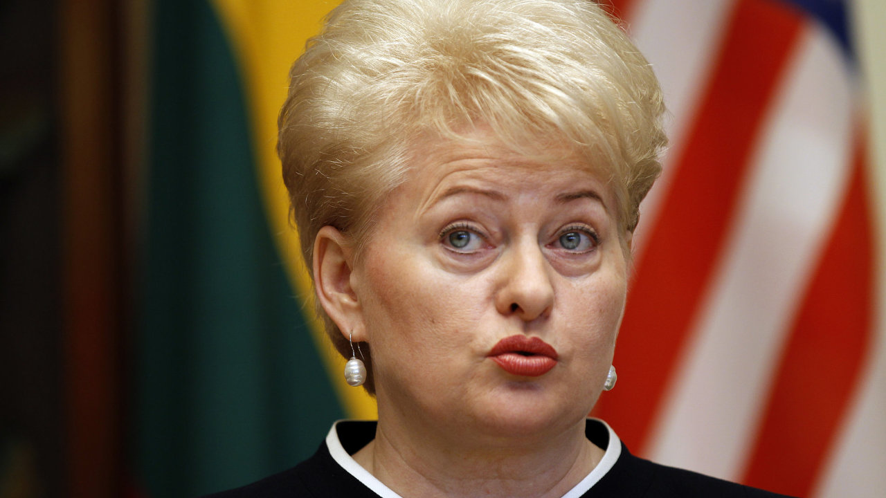 Litva v ele s prezidentkou Daliou Grybauskaitovou je jednm z nejtvrdch kritik rusk agrese na Ukrajin.