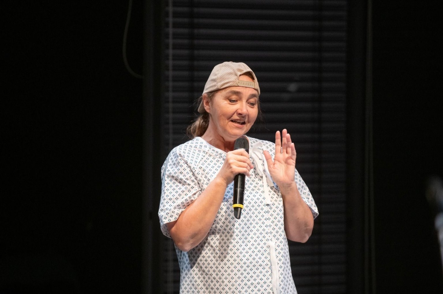 kultura, Vtip, Divadlo J. K. Tyla, Plzeň kultura, Vtip, Divadlo J. K. Tyla, Plzeň