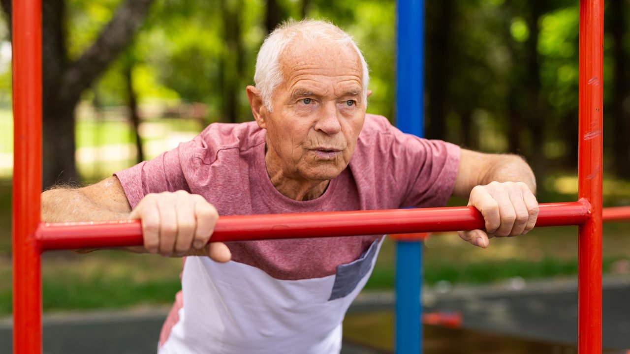v�da, senior, sport