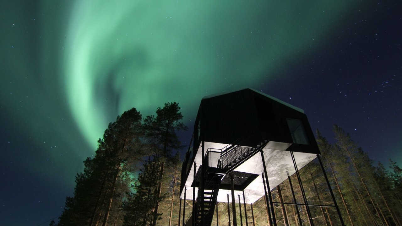 Treehotel, 7th Room, �v�dsko