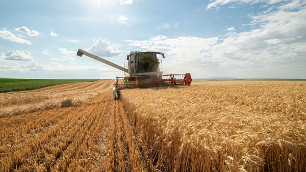 Většinu ekologické půdy tvoří v Česku travní porosty, orná půda představuje...