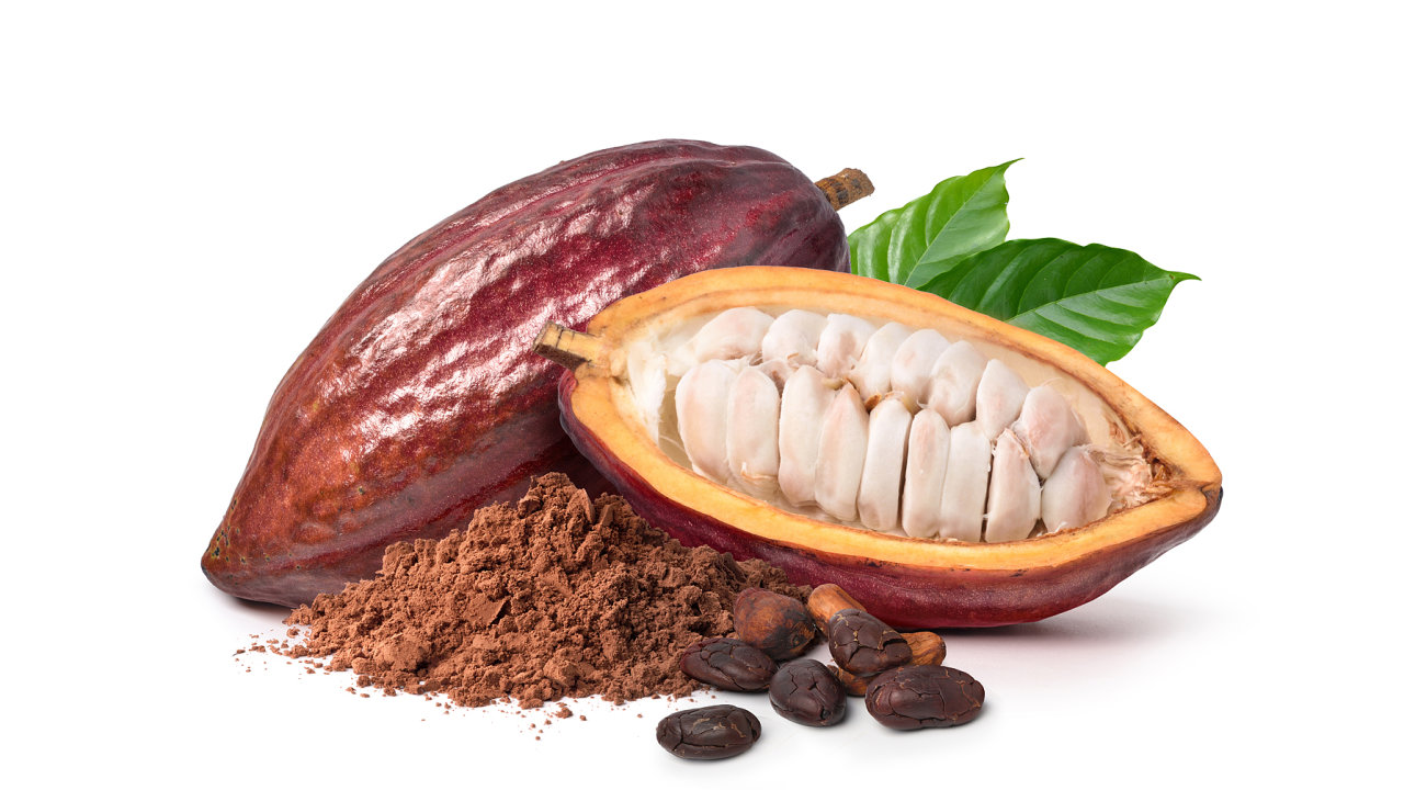 Kakaové boby obsahují flavanoly, jejichž konzumace má pozitivní vliv na obìhový systém èlovìka.