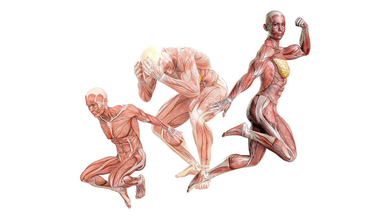 V�d�li jste, �e zvuk, kter� sly��te p�i lusknut� prst�, nevyd�v� prost�edn��ek a palec?