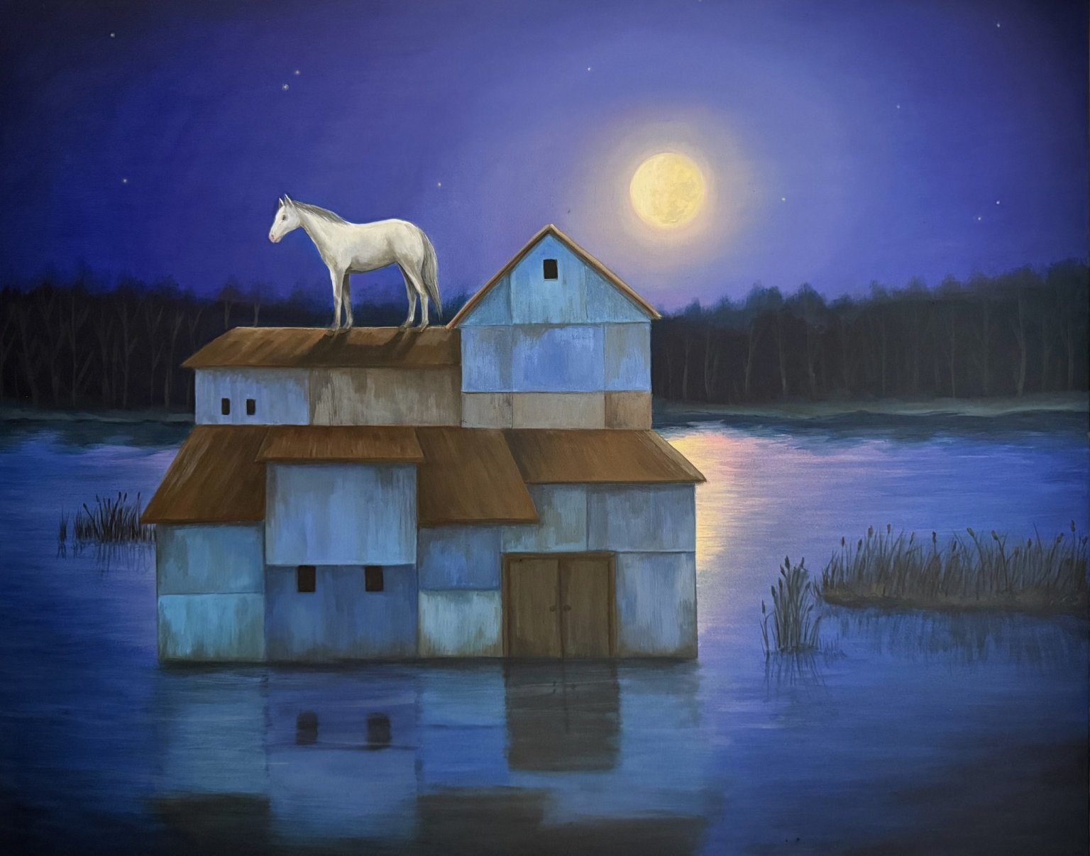 kultura, v�stava, Barbora Dohnalov� – K�ehk� sv�ty