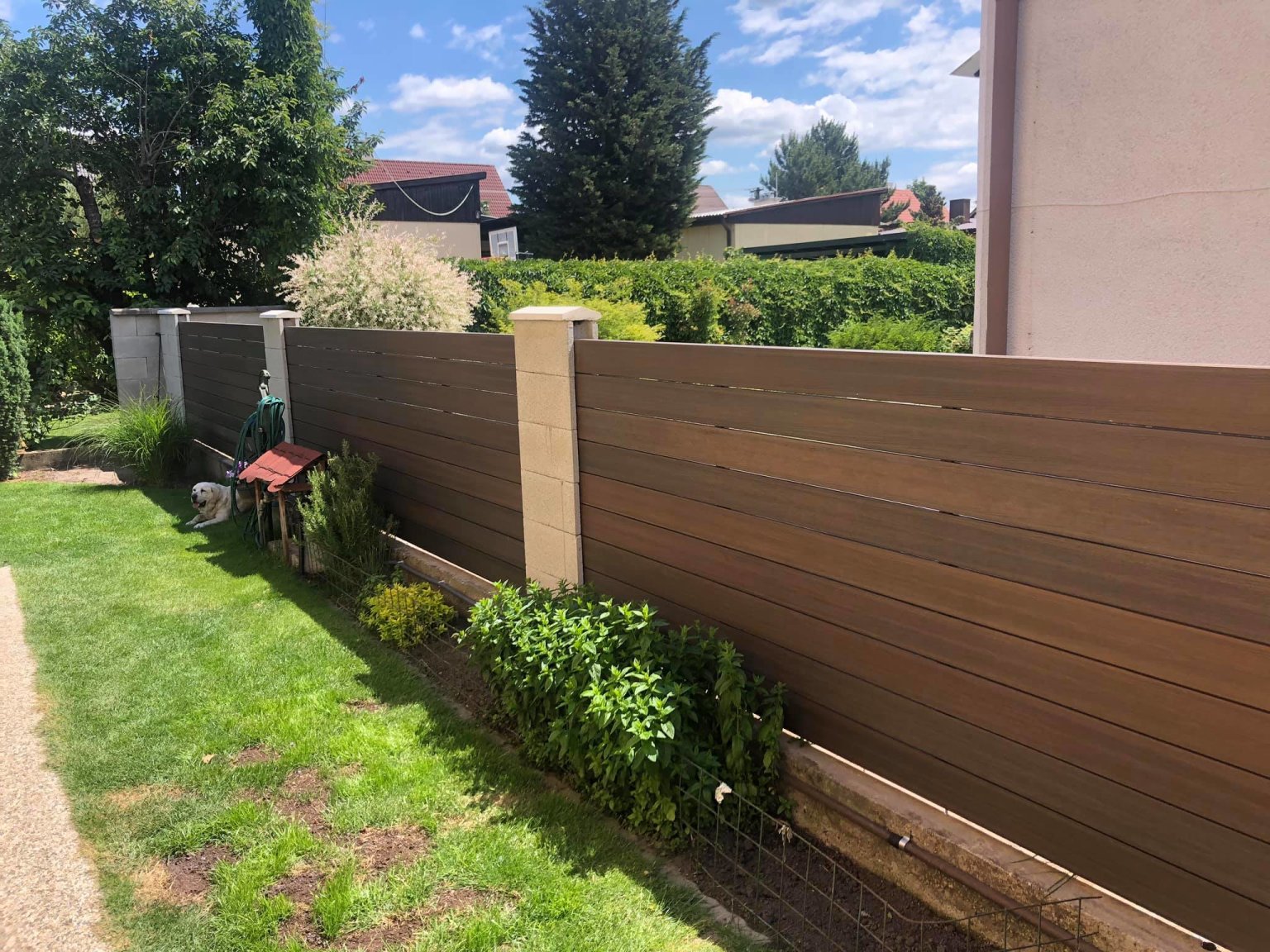 102571865 4468423639850450 2196605841799380992 o