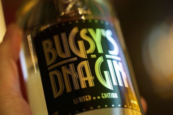 Bugsys gin