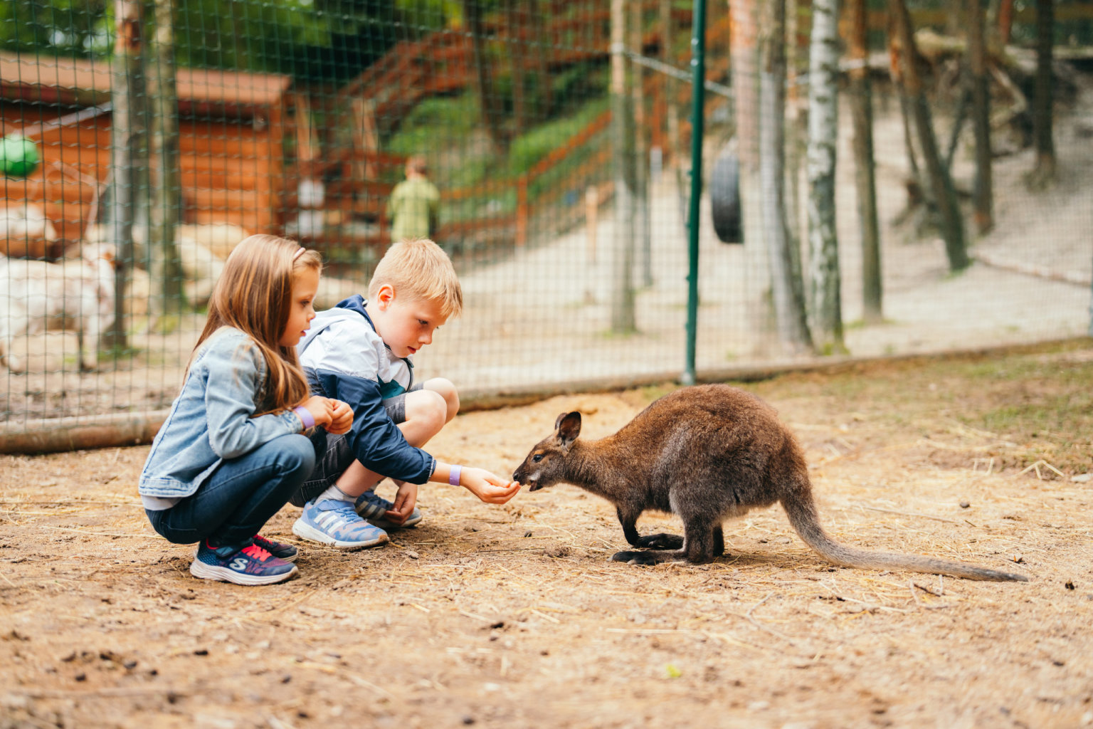 Farmapark u Toma (Foto: komerční článek) Farmapark u Toma