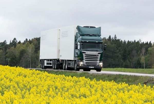 Ilustra�n&iacute; foto