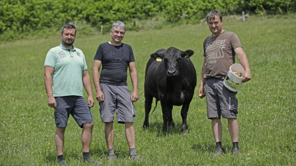 Bratři Basařovi. Zleva: nejmladší Jiří, nejstarší Jan a prostřední Ondřej.