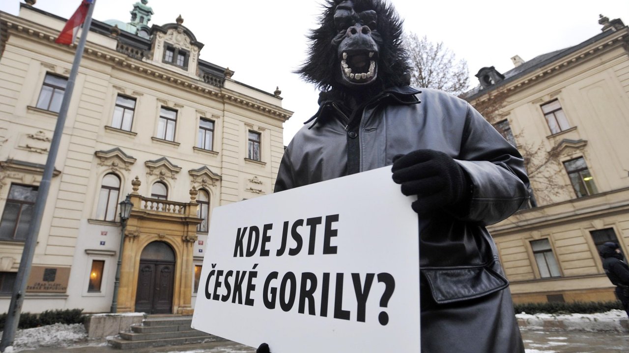 Protestujc proti korupci v esku odkazuj na Gorilu
