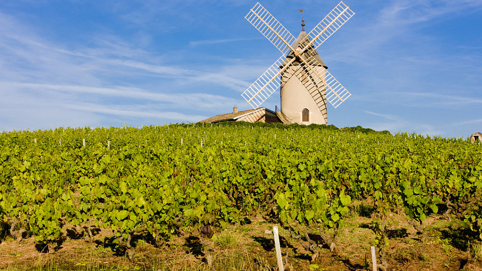Podle francouzskho vinaskho zkona se vno z kraje Beaujolais sm prodvat od tetho listopadovho tvrtku.