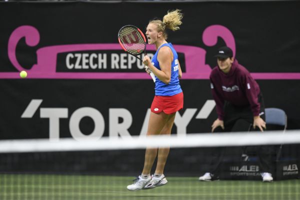 Kate�ina Siniakov&aacute; Fed Cup tenis