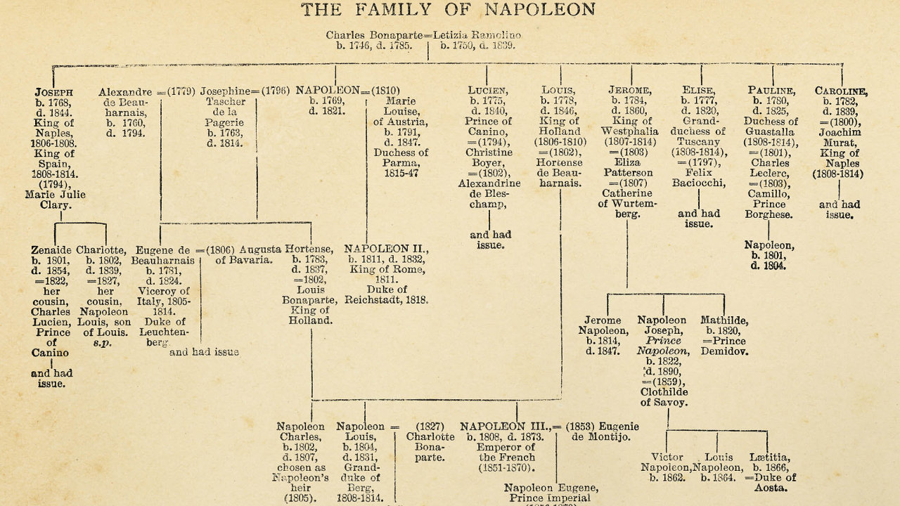 Napoleon Bonaparte’s family tree (circa 19th century). Vintage etching circa late 19th century.