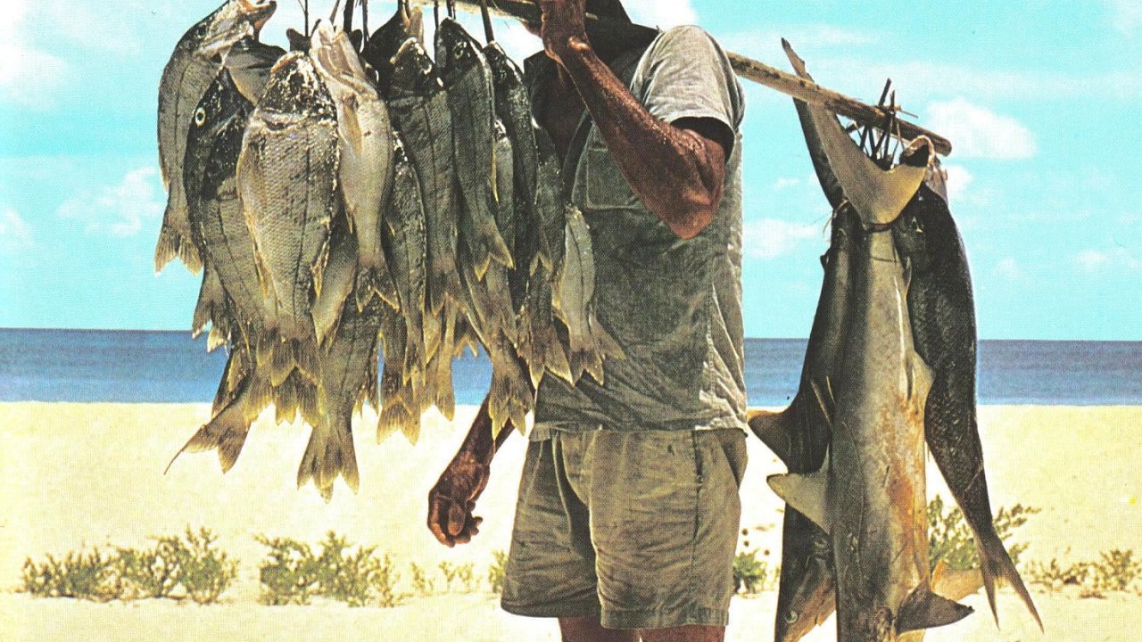 Ryb na Seychelch
