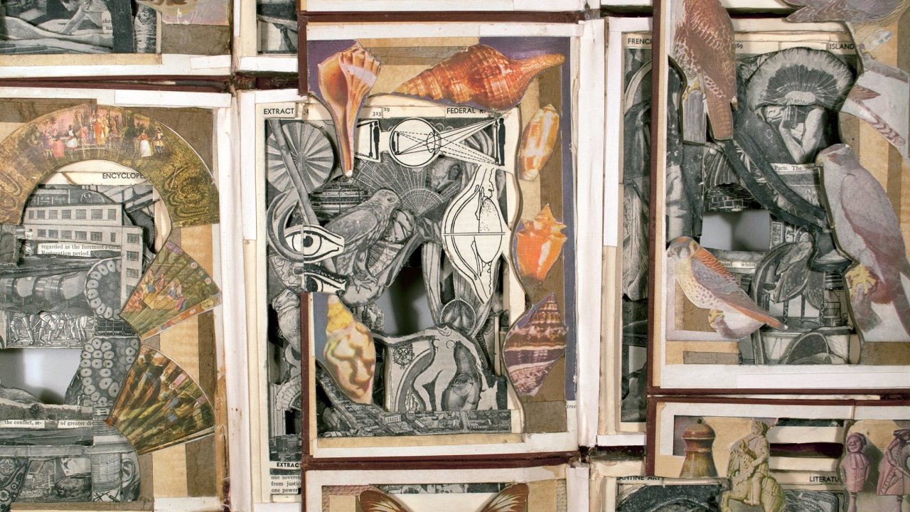 kultura, VÝSTAVA, Centrum souèasného umìní DOX, Brian Dettmer: Complete Antiques, 2009