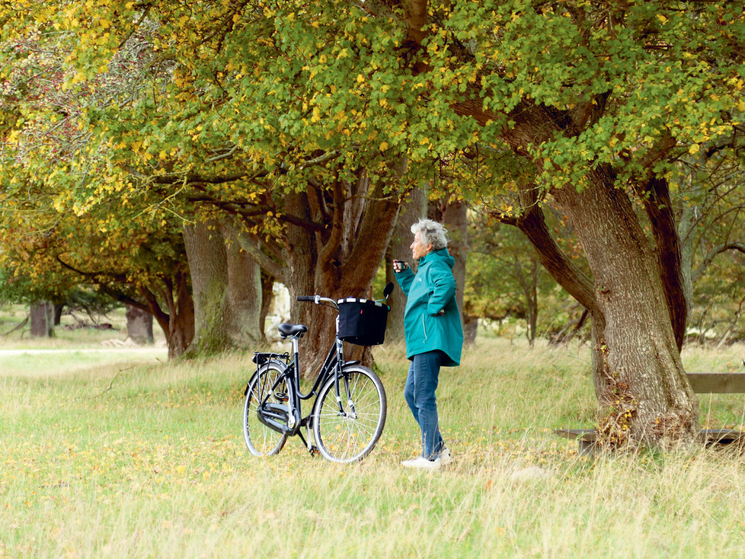 Ronky nad 1970 ek vDnsku penze a v70