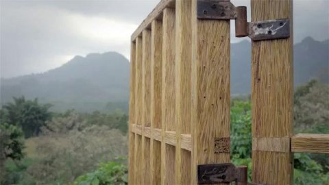 Tiger_vs._3.5_Million_Toothpicks_We_Protect_Us_AVG.mp4.jpg
