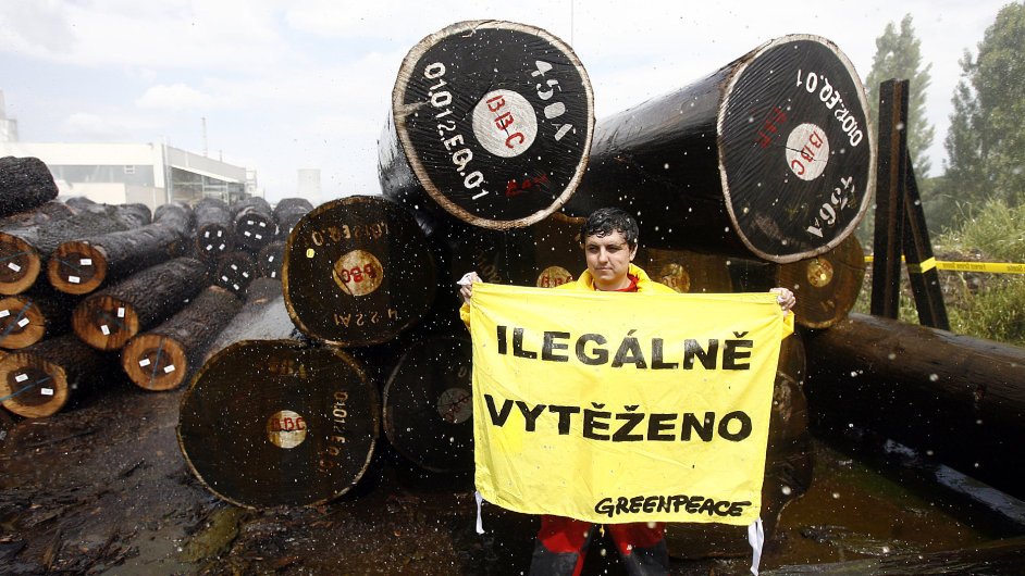 Greenpeace odhalilo Ilegální dovoz døeva z pralesù v Kongu