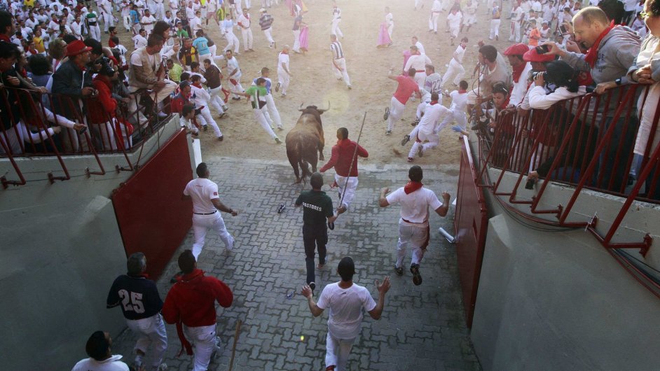 Bìh s býky ve Španìlsku
