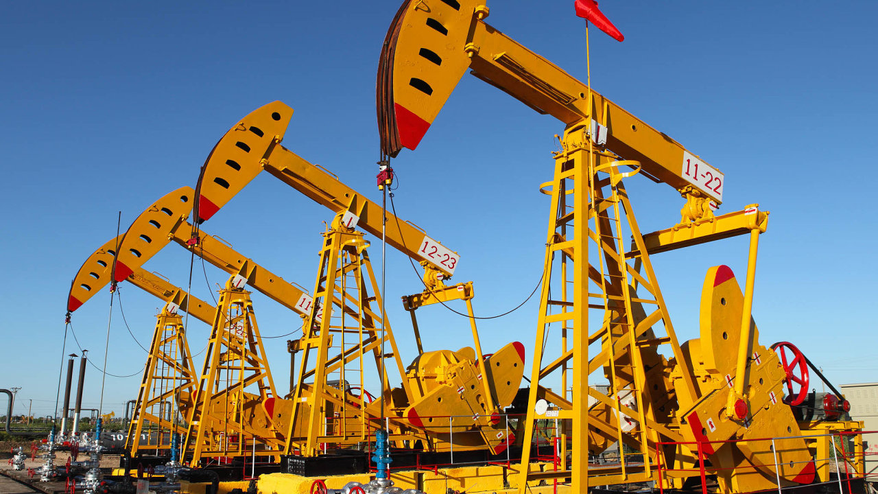 Cena ropy poèátkem tohoto týdne na svìtových trzích klesla zhruba o 30 procent, severomoøský Brent se prodává asi za 32 dolarù za barel.