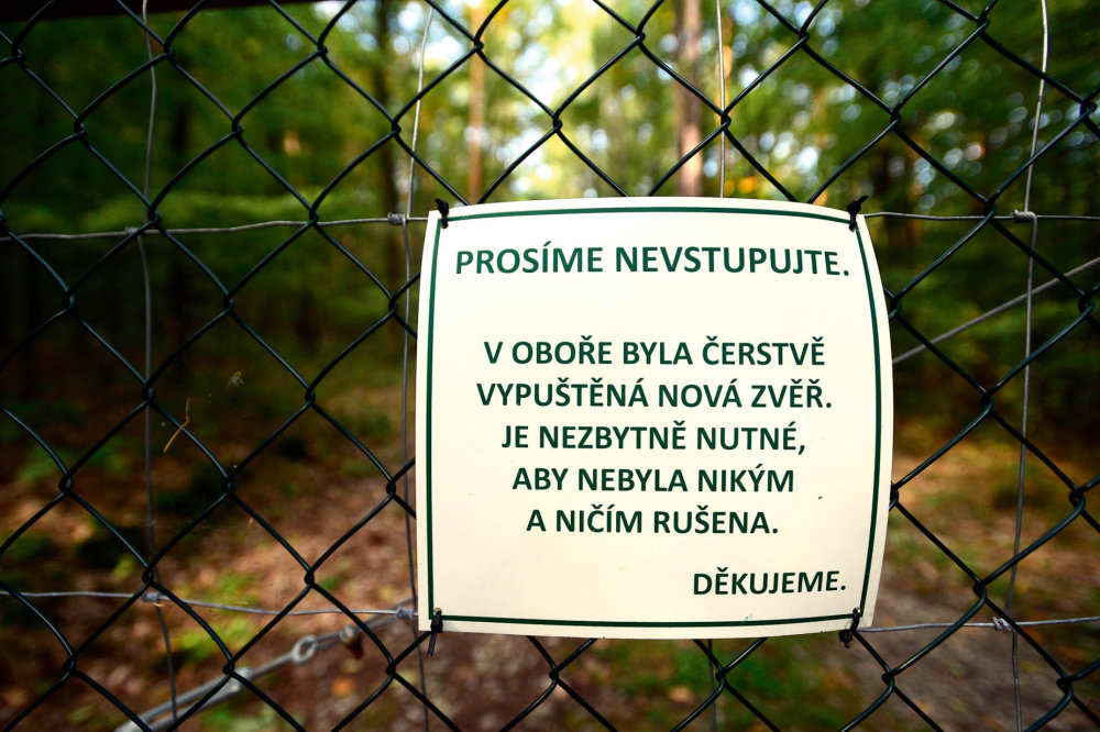 „Počty zvěře se průběžně navyšují,“ říká mluvčí PPF.