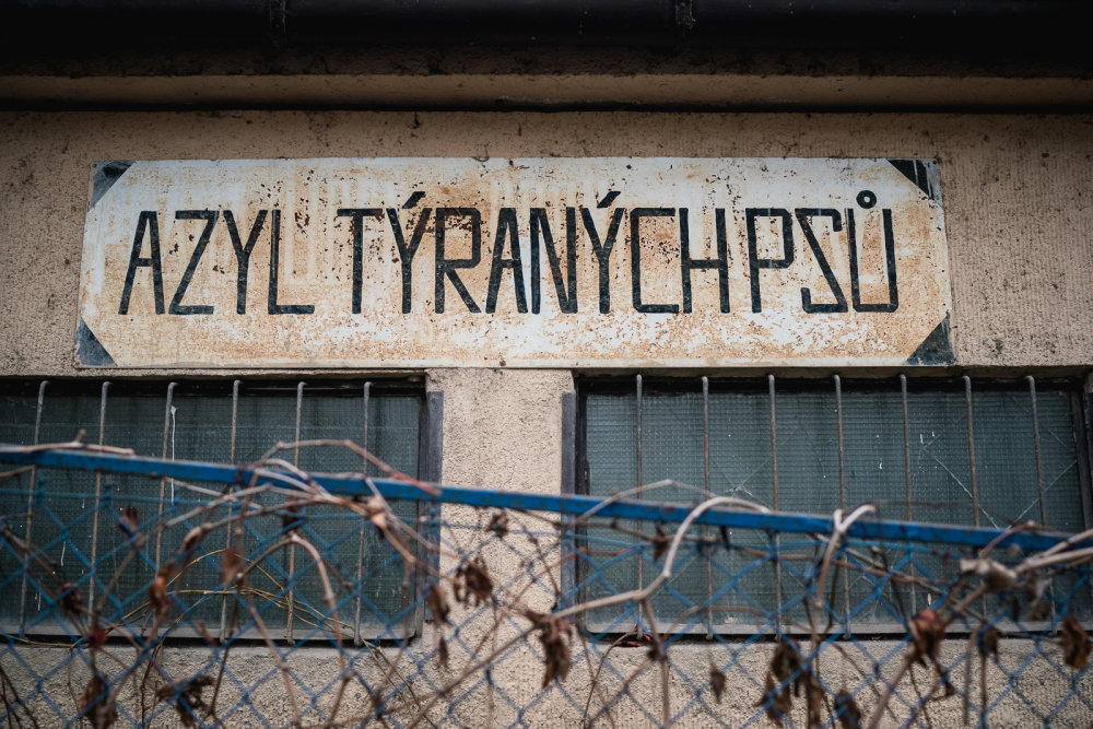 Azyl opuštěných psů v Libni