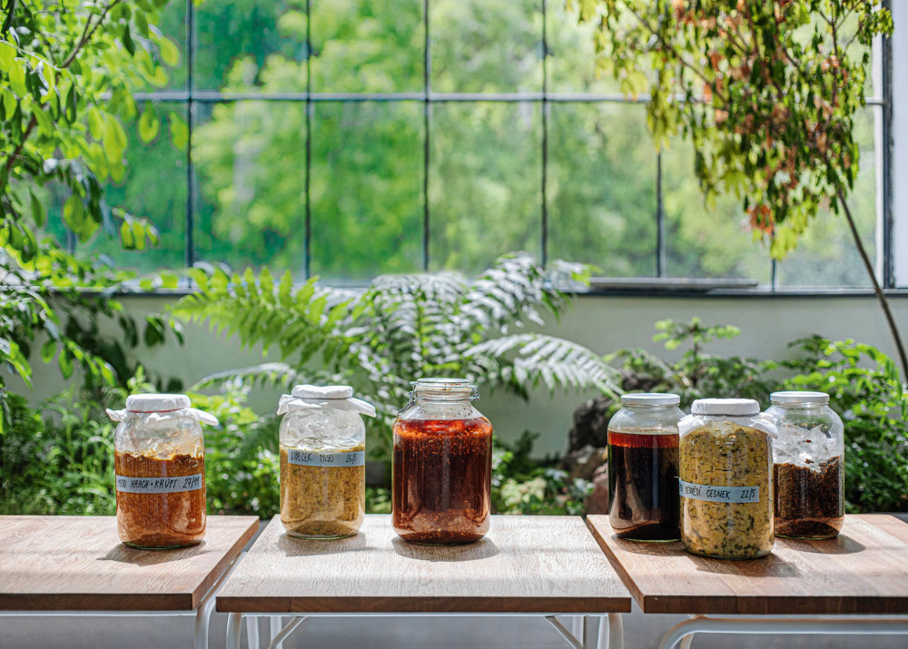 Fermentace