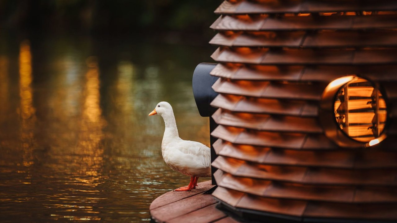 Cheng Tsung Feng a jeho domky pro kachny z pokraujc srie Nesting plan