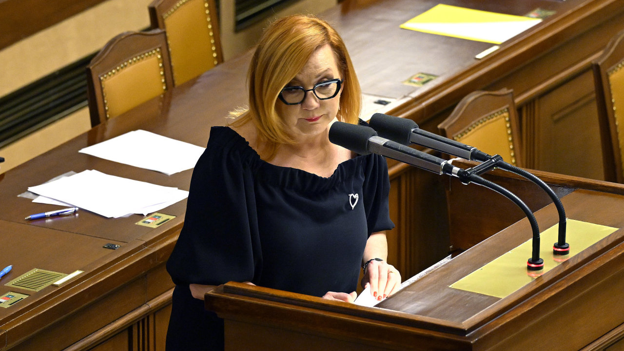 Ministryn� financ� Alena Schillerov� (ANO) na sch�zi Sn�movny, 11.�nora 2026, Praha.