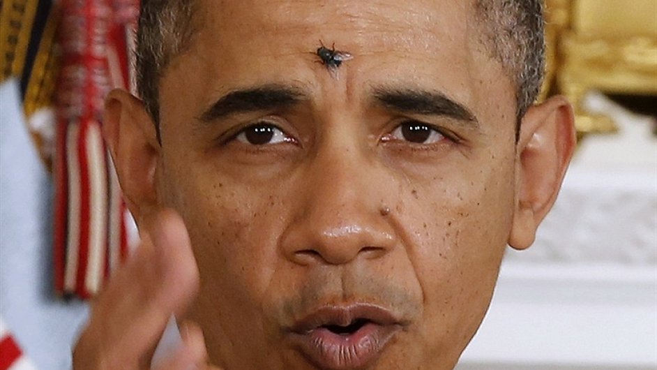 Barack Obama a moucha