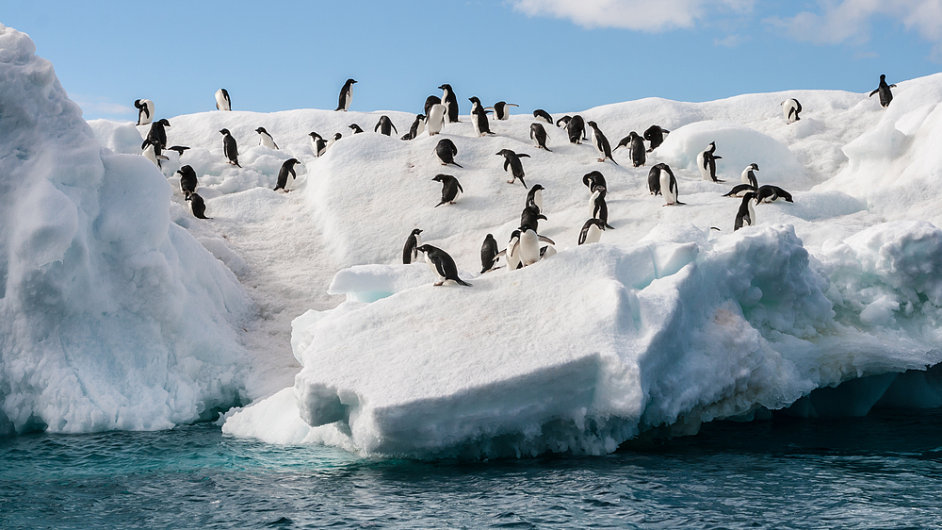 Pochodovn po Antarktid je vlastn spe tukm ne lidem. (Ilustran foto)