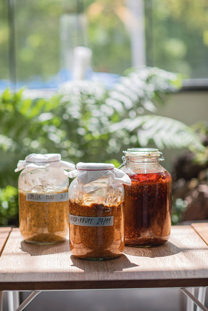 Fermentace