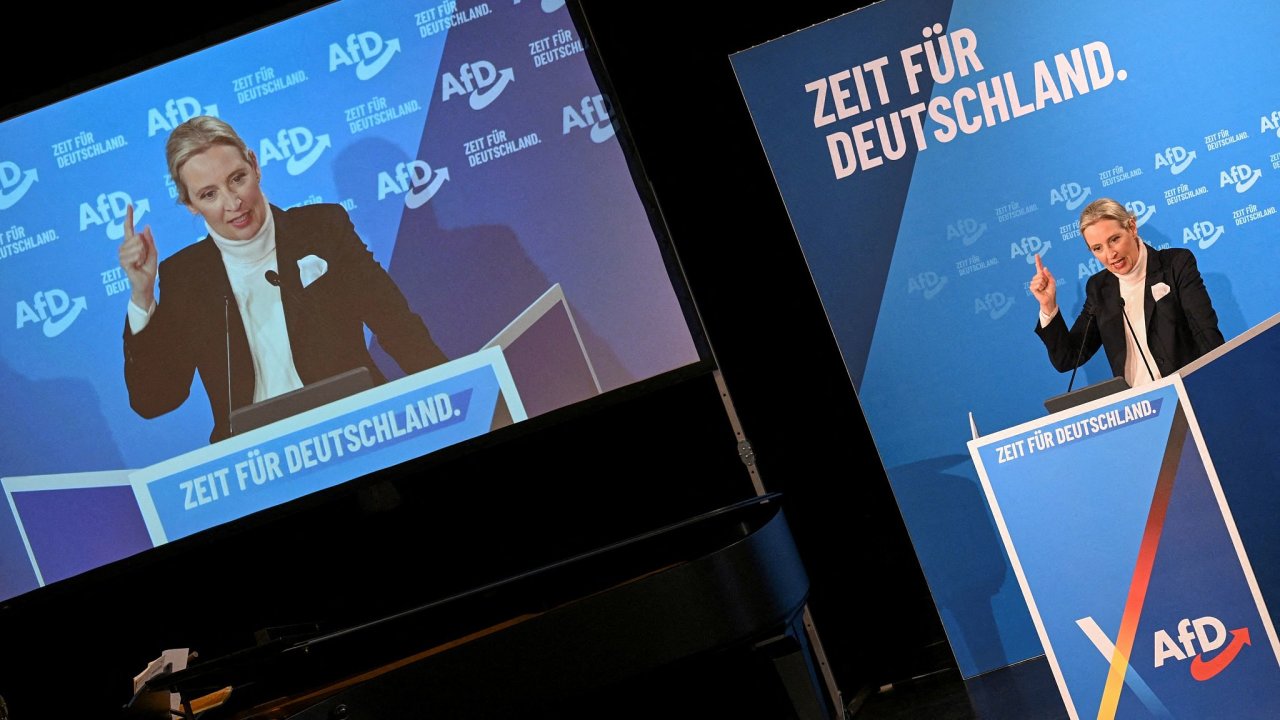 Alice Weidel