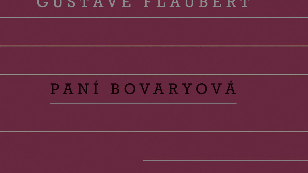 Gustave Flaubert: Pan Bovaryov