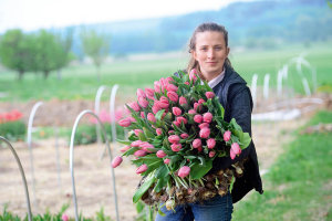 Náruč tulipánů. Jejich letošní sezona byla krátká. Vykvetly během jediného týdne. Ty, které drží v náručí Karol Benešová, jsou už vlastně na odpis.