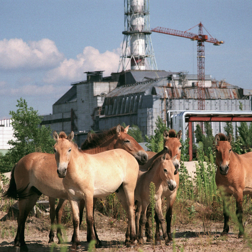 Václav Vašků: Černobyl, jak ho už nikdo neuvidí