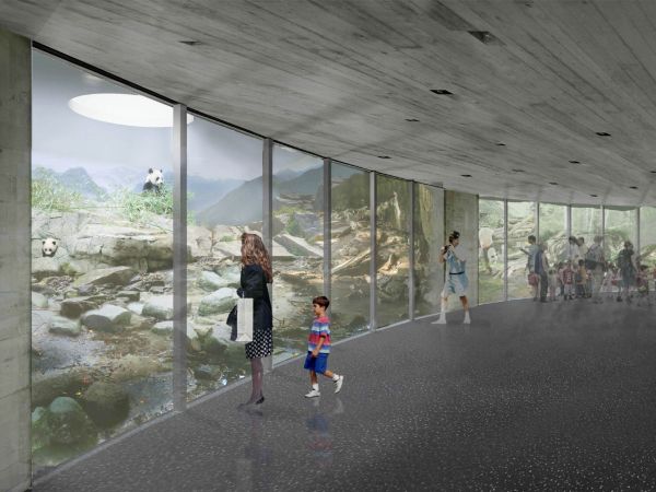 panda, pand&aacute;rium