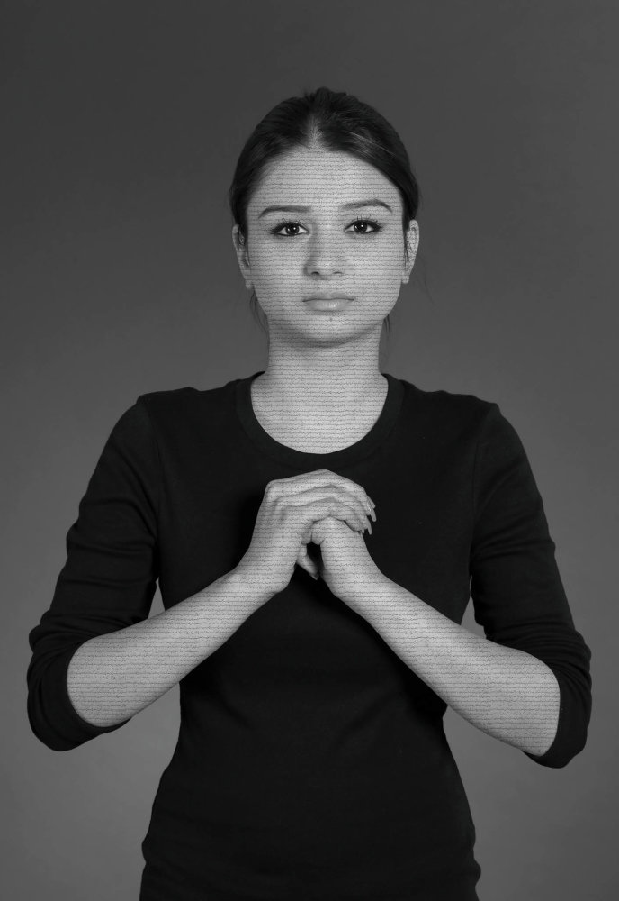 Shirin Neshatová (The Home of My Eyes)