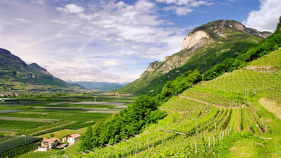 Jin Tyrolsko je nejsevernji poloenou vinaskou oblast Itlie. Vinice tu le na bo hor, co dv zdejmu vnu specifick charakter.