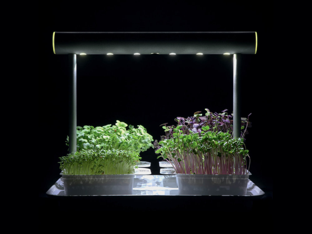 Chytrý květináč Microgreens od Leaf Learn vám vypěstuje zdravou zeleninu za 96 hodin.